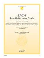 Bach : Jesu, Joy of Man's Desiring
